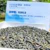 貴州緑茶