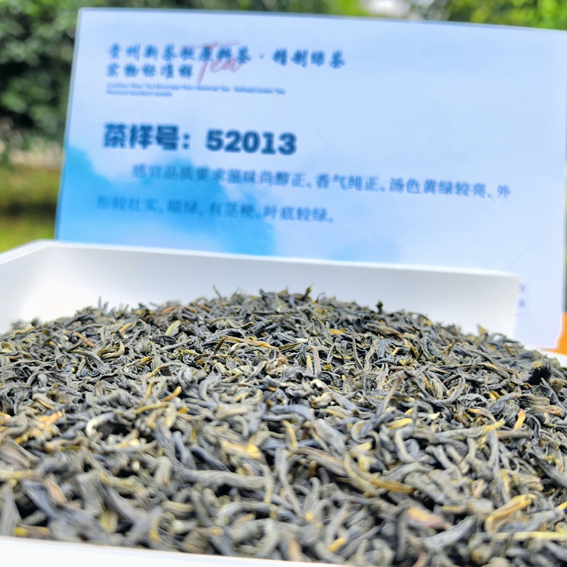 貴州緑茶