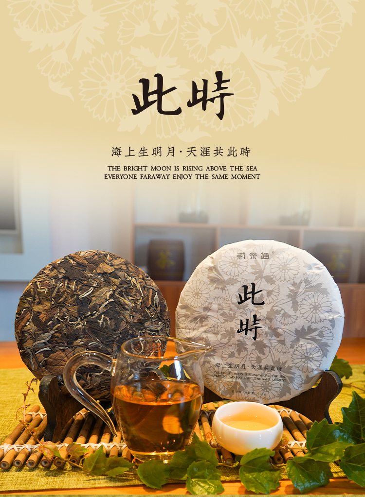 今回白茶饼_01