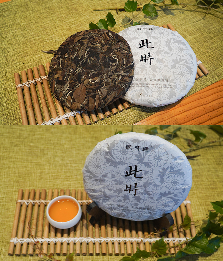 今回白茶_05