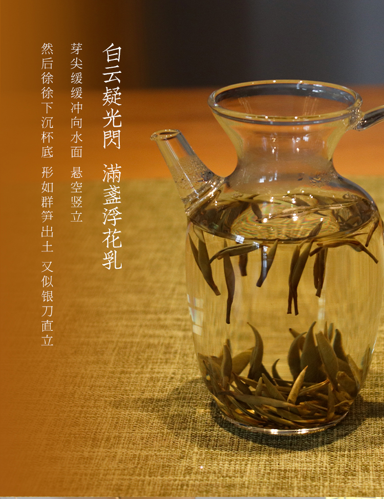 白毫银针_03